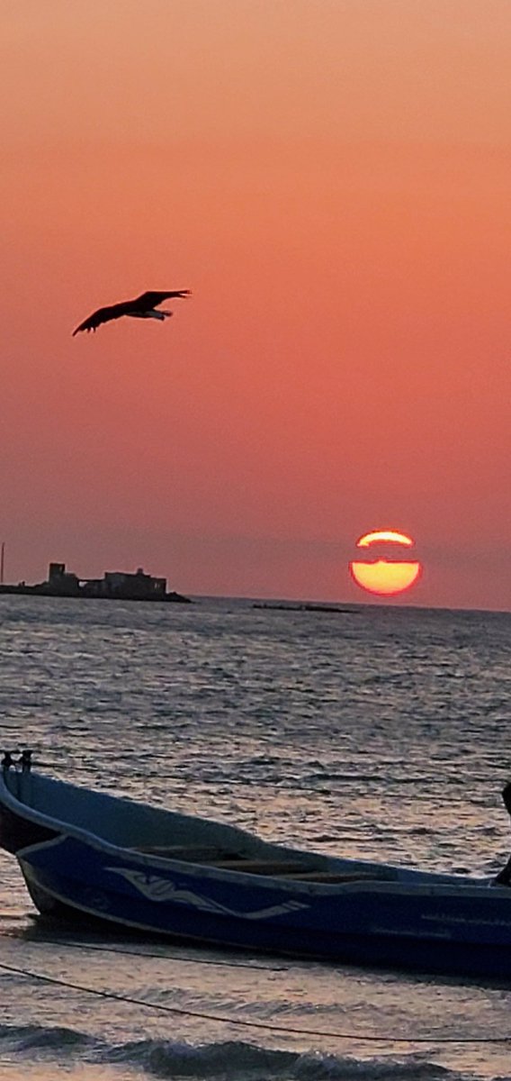 AlbadeelC's tweet photo. البشرية محكومة اليوم بتوحش القوة 
غزة تكتب شهادة وفاة الشرعية الدولية 
الاف  الأطفال القتلى يغطون بدمائهم 
وثيقة الإعلان العالمي لحقوق الإنسان https://t.co/L9SiHlA0Vp
