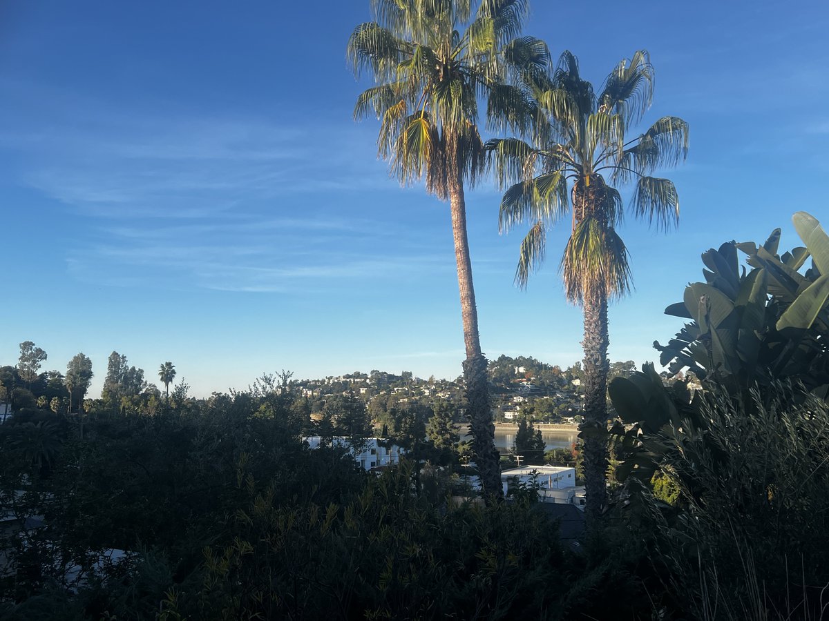 Sean Bonner🔥 tweet media