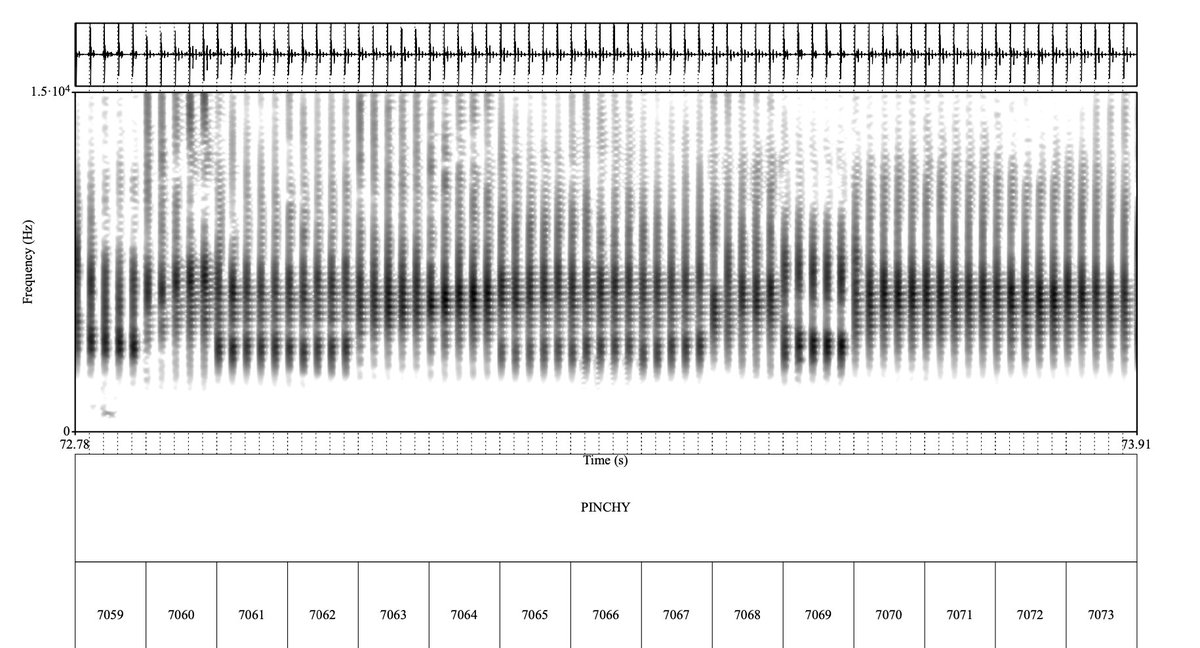 Alex Carlier (@alexcarliera) on Twitter photo Sperm whales use human language equivalents to vowels! 🐳
Thanks to an AI technique called CDEV, researchers at <a href="/UCBerkeley/">UC Berkeley</a> uncovered this from the spectral properties of whales' clicks.
More details below ⬇️⬇️ Sperm whales use human language equivalents to vowels! 🐳
Thanks to an AI technique called CDEV, researchers at <a href="/UCBerkeley/">UC Berkeley</a> uncovered this from the spectral properties of whales' clicks.
More details below ⬇️⬇️