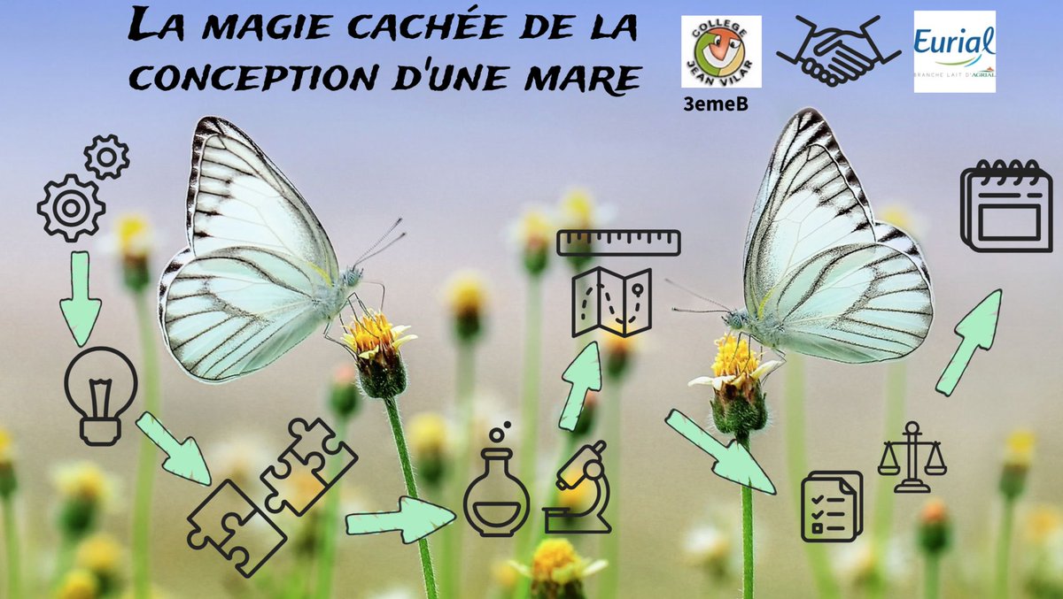 svtfrappier's tweet photo. Un moment important dans le projet ´mare ´ avec EURIAL, la branche Lait d’Agrial Gabriel Jardin pour nos élèves du collège Jean vilar @acpoitiers @DSDEN79  Echanges autour de l’EDD entre entreprise et collège. Une belle prestation orale de nos élèves . #parcourscitoyen #edd https://t.co/z4cESvel8B