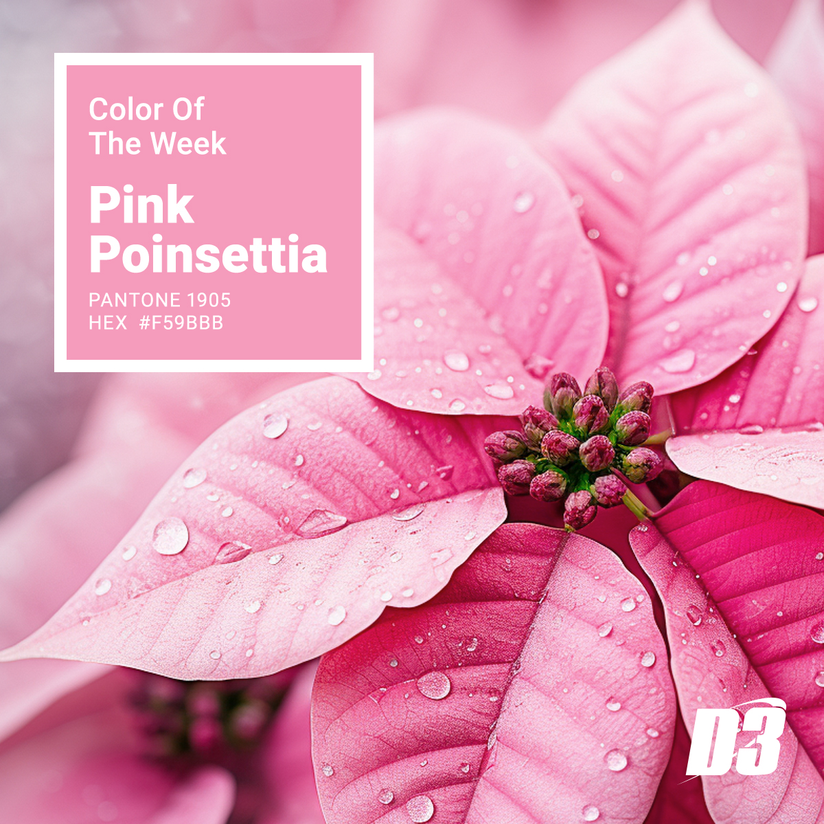 d3Inc_'s tweet image. Pink poinsettia, this weeks color, is a fun twist on a classic holiday motif! Enjoy! #coloroftheweek #D3