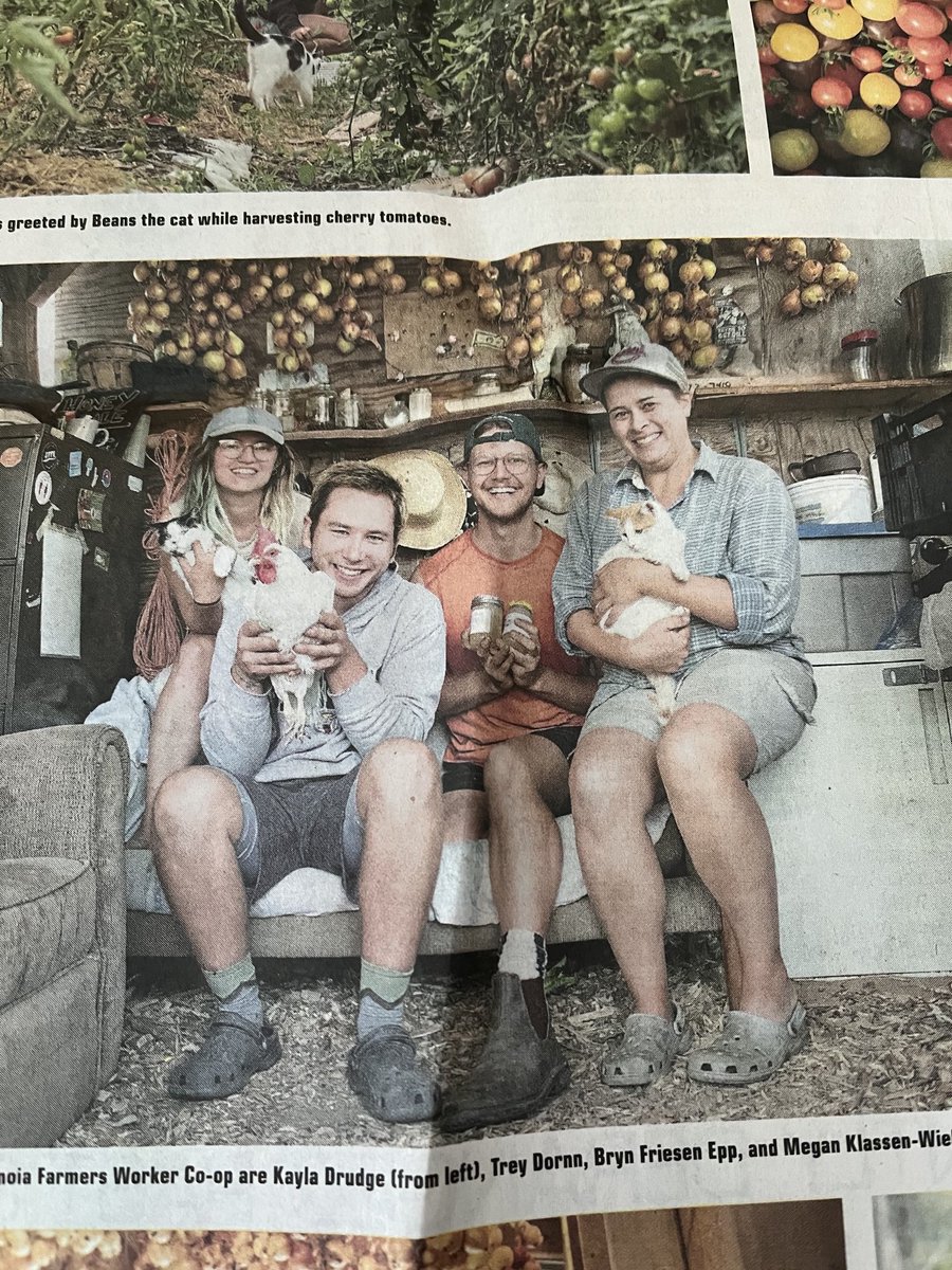 dcbalzer's tweet photo. Got to love opening ⁦@WinnipegNews⁩ to see ⁦@metanoiafarmers⁩ told by ⁦@CMUwpg⁩ student Mike Thiessen https://t.co/h63BIWqVk7