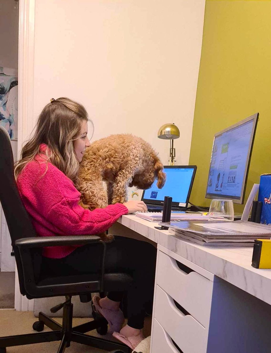 Miss Nolan tweet media