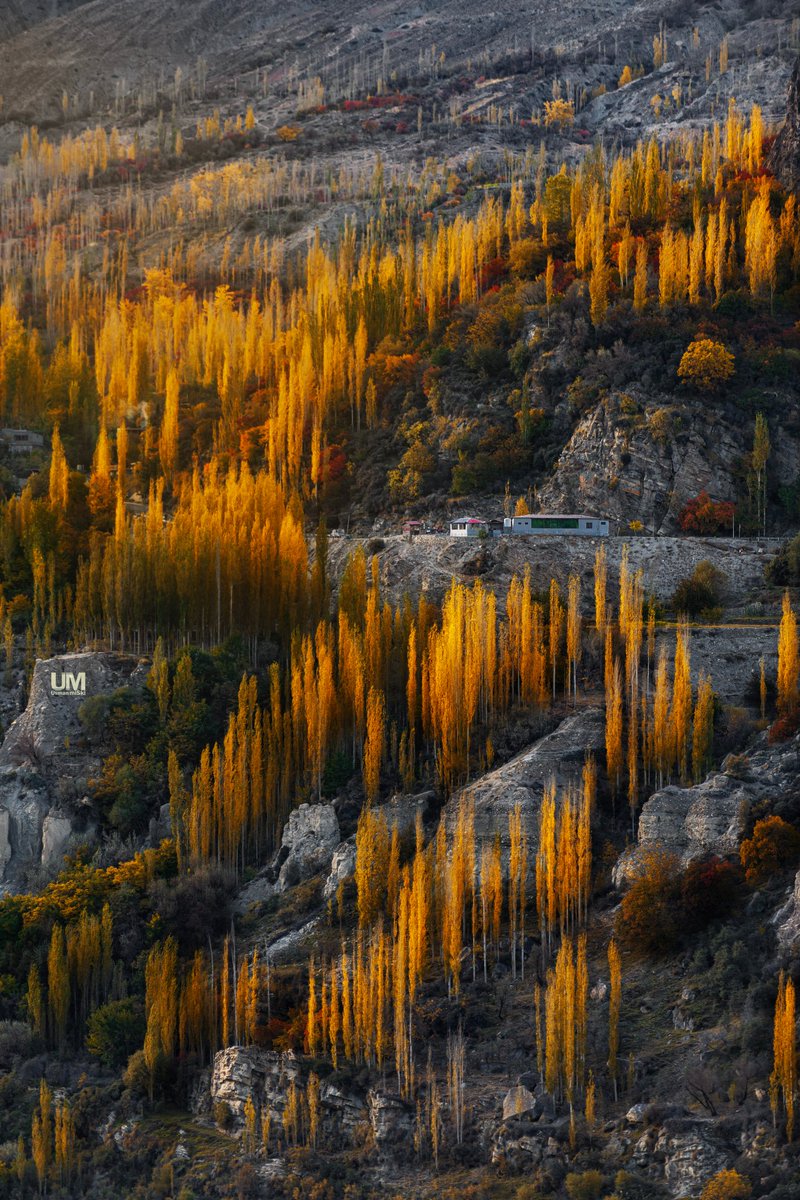 sunset, nature's farewell kiss for the night ...

#Autumn #AutumnVibes #AutumnColors #Pakistan #mountains #dusk #PHOTOS #photograghy #trees