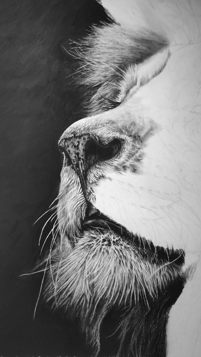 Home alone on a wet Sunday, time to get back to the lion I've been neglecting for months. Really pleased with how this is coming along now, after I came close to abandoning it earlier in the year