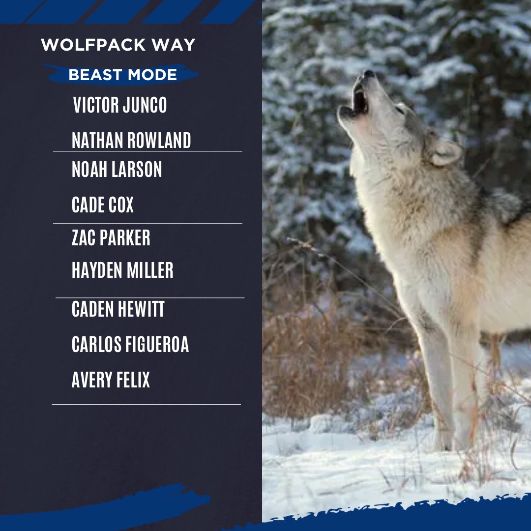 North Paulding Baseball tweet media