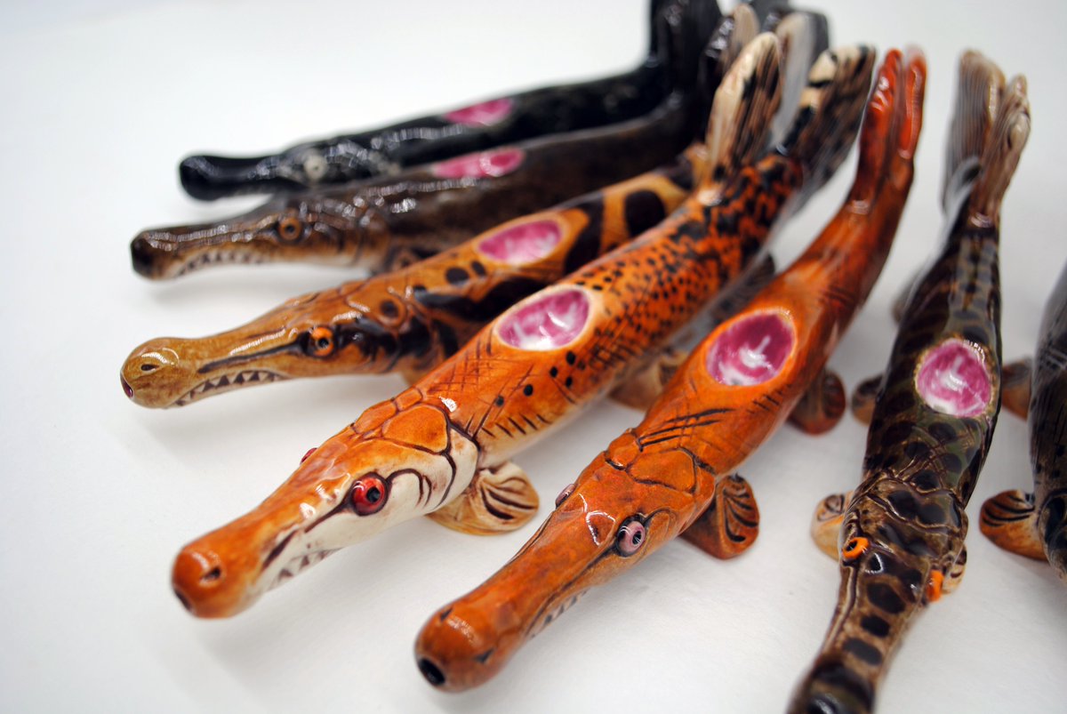 Luke 🐾 tweet media