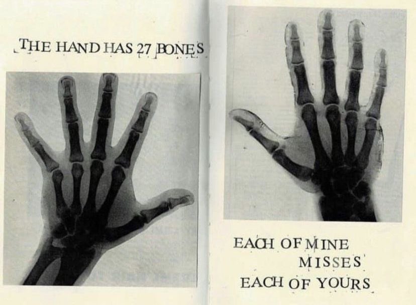 dumbsoftheart's tweet image. 