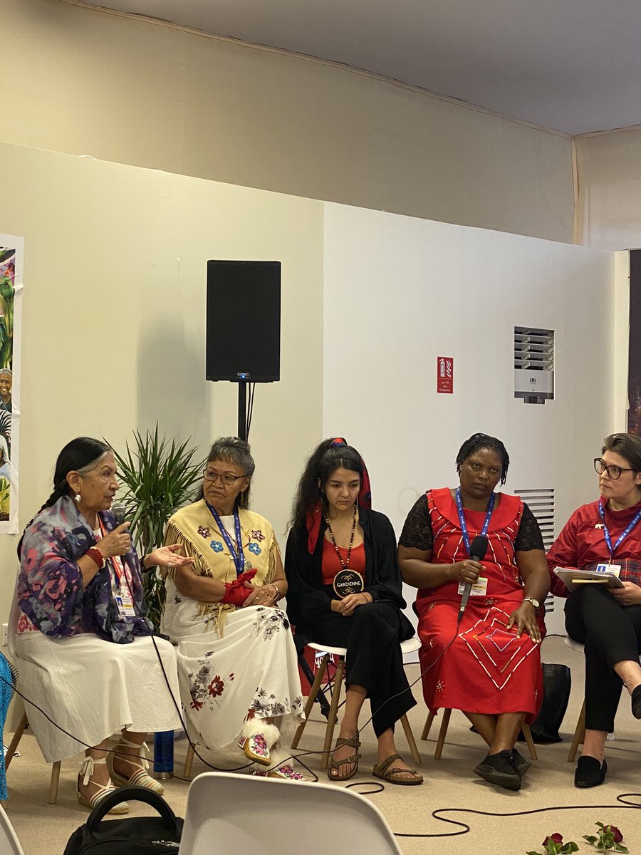 Indigenous Information Network tweet media