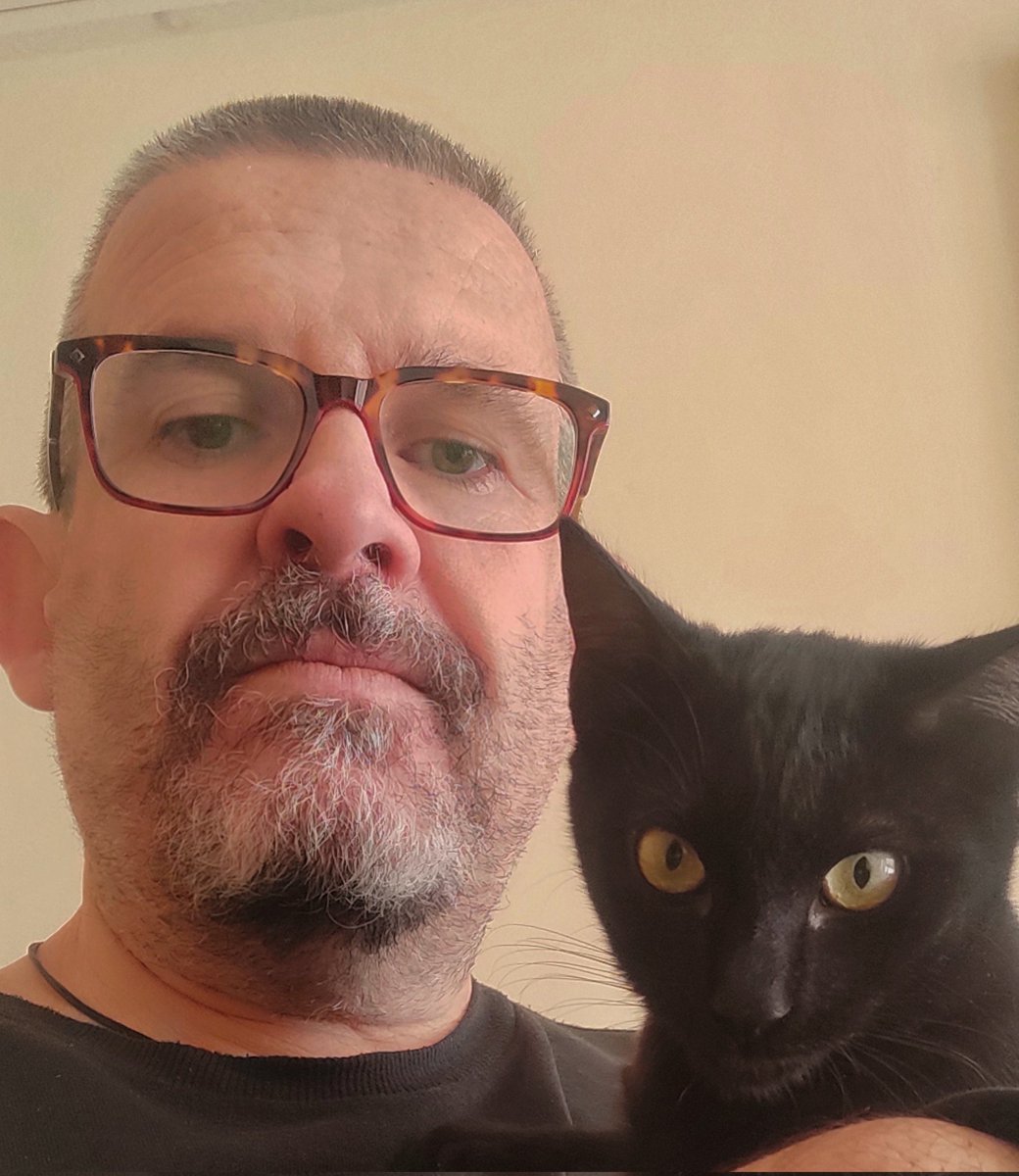 funkyover's tweet photo. Doncs avui fa dos mesos que ens vam conèixer i va ser #AmorAPrineraVista
Amics inseparables amb la Fosca
#adopcio #adoptagat https://t.co/LBTv9ognSB