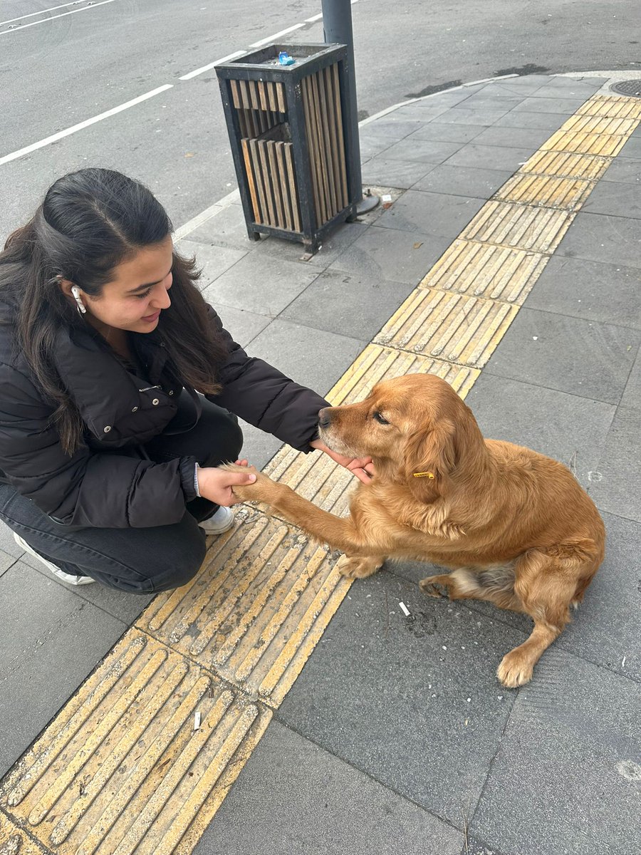 Ben buldum arkadaşlar hem de iki tane xkxndkskzkdnsjzkkxksksjszm