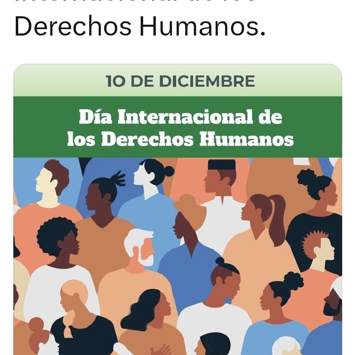 csiflleidaprimaria tweet media