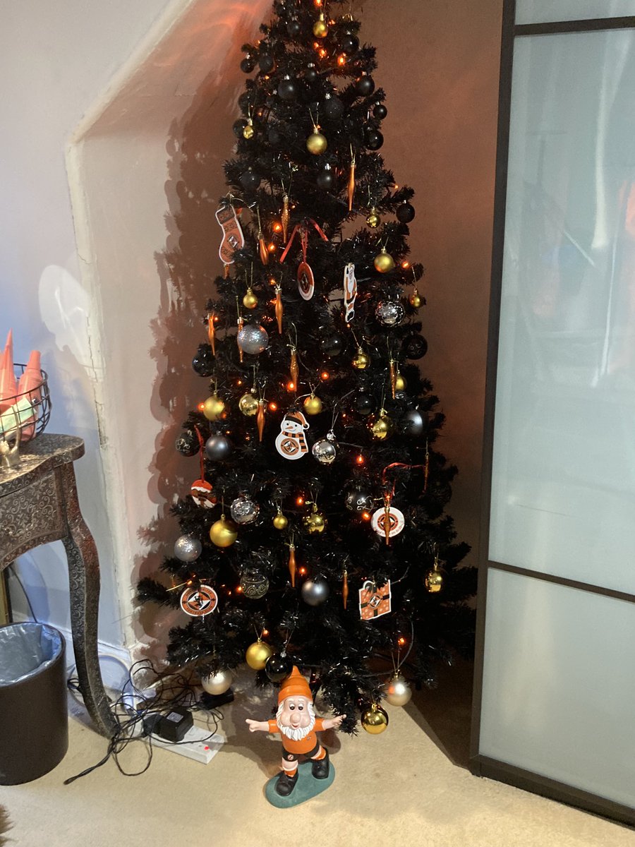 rubyunderhill's tweet image. Now THAT’S a tree @dundeeunitedfc
