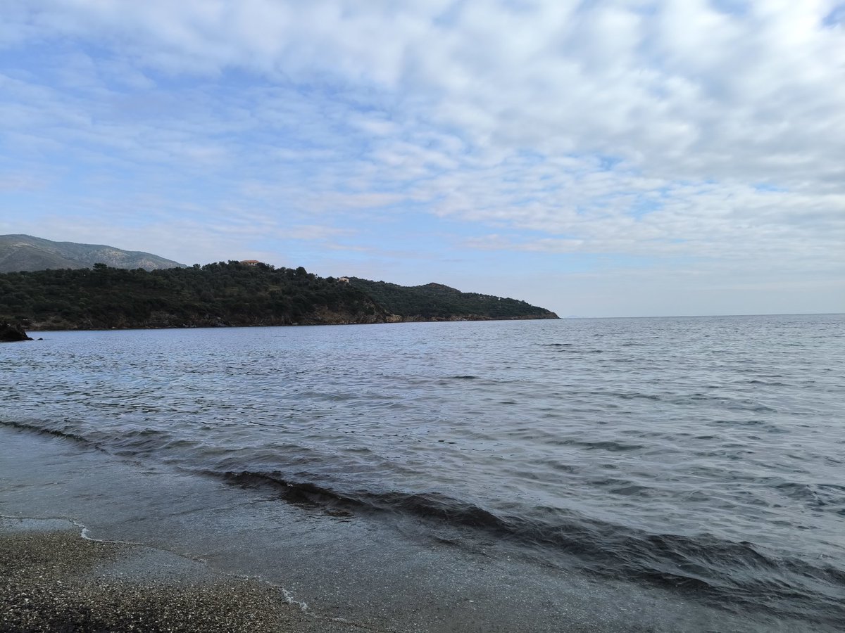 UrbanExplorer7's tweet photo. 15/30 pre-christmas dive project
#winterswimming #diveproject #outdoors #openwater https://t.co/31OyiZegZs