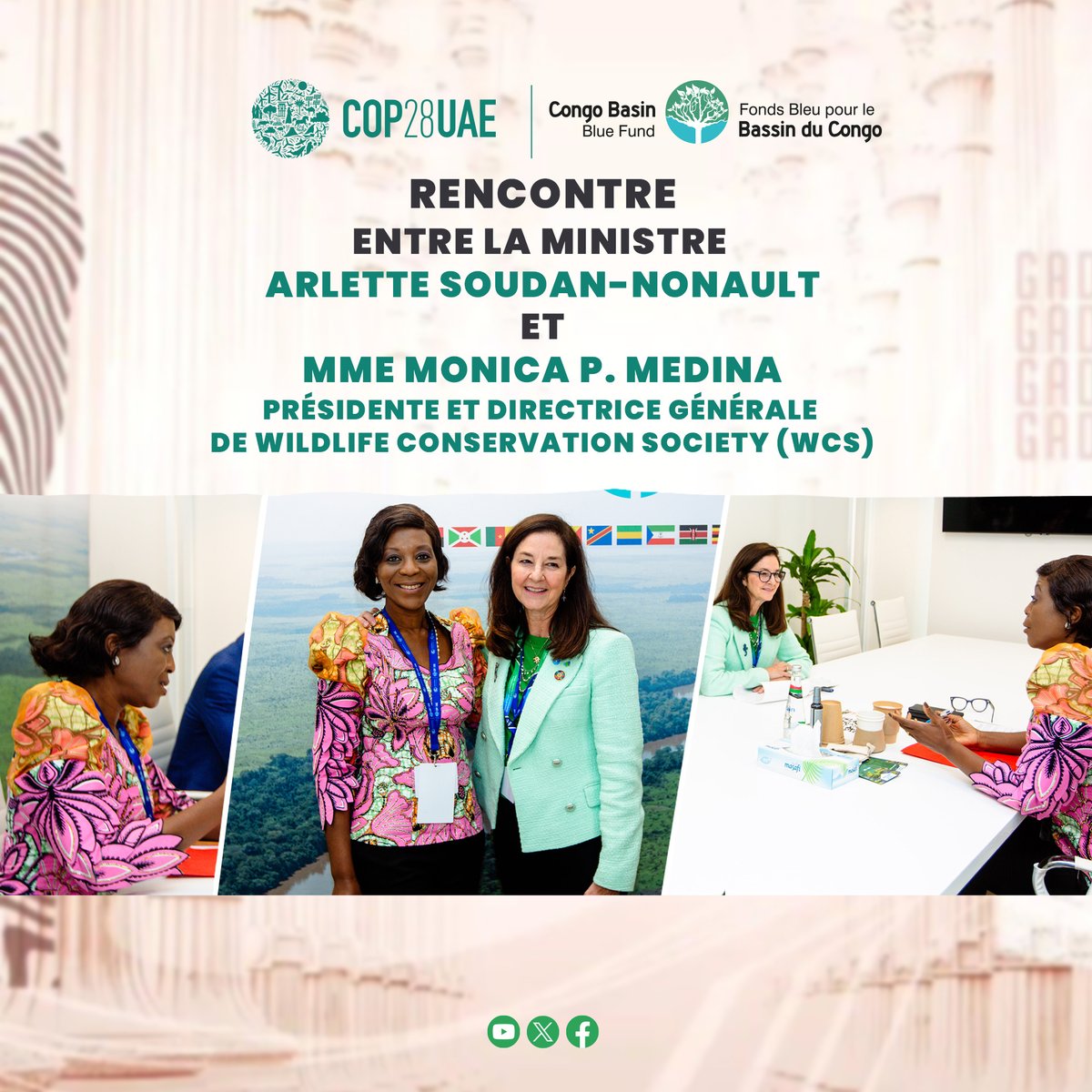 Fonds Bleu pour le Bassin du Congo tweet media