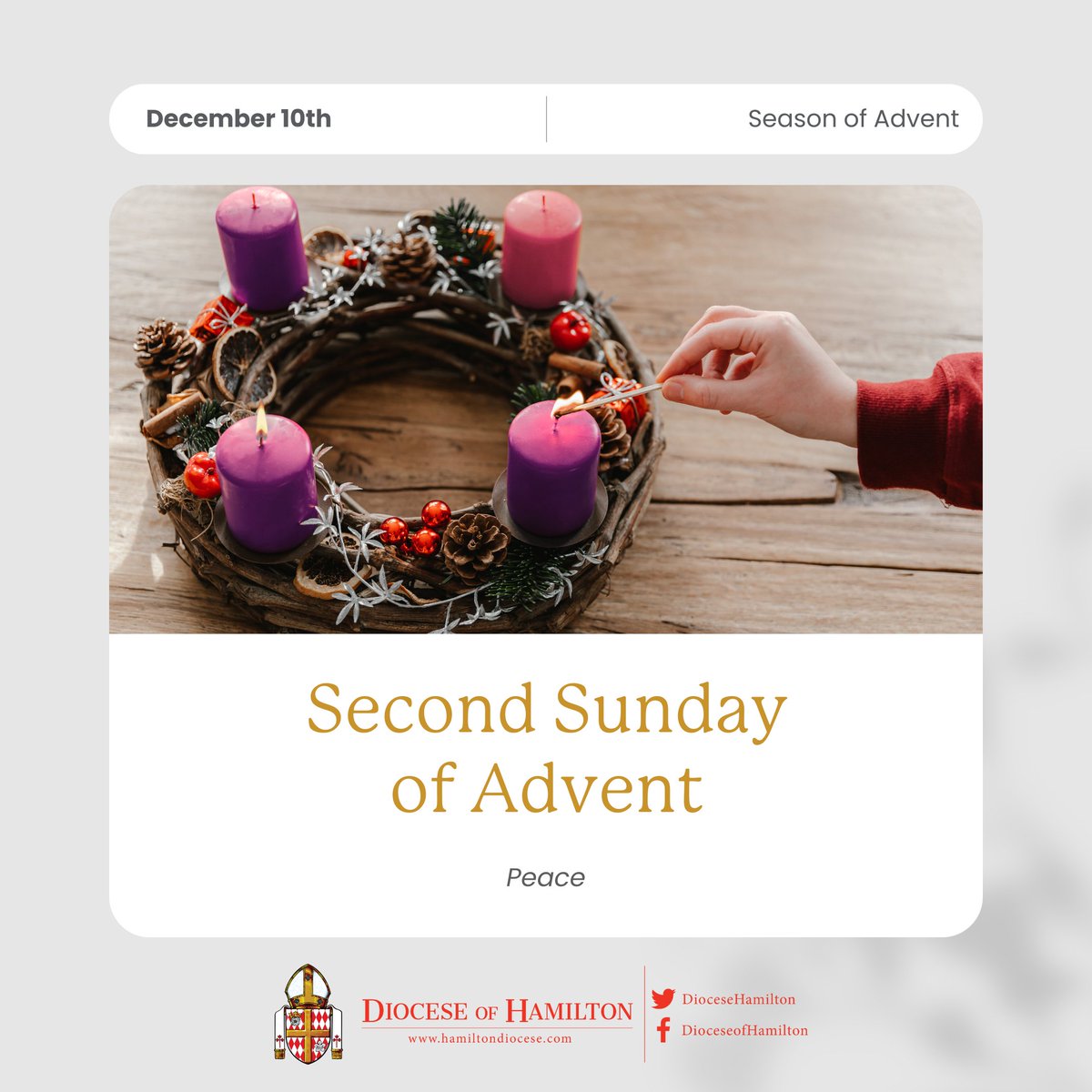 Today we celebrate the second Sunday of Advent. Led by the Holy Spirit, we use this Advent season to renew our lives so that we, like John the Baptist, might prepare the way for Jesus.