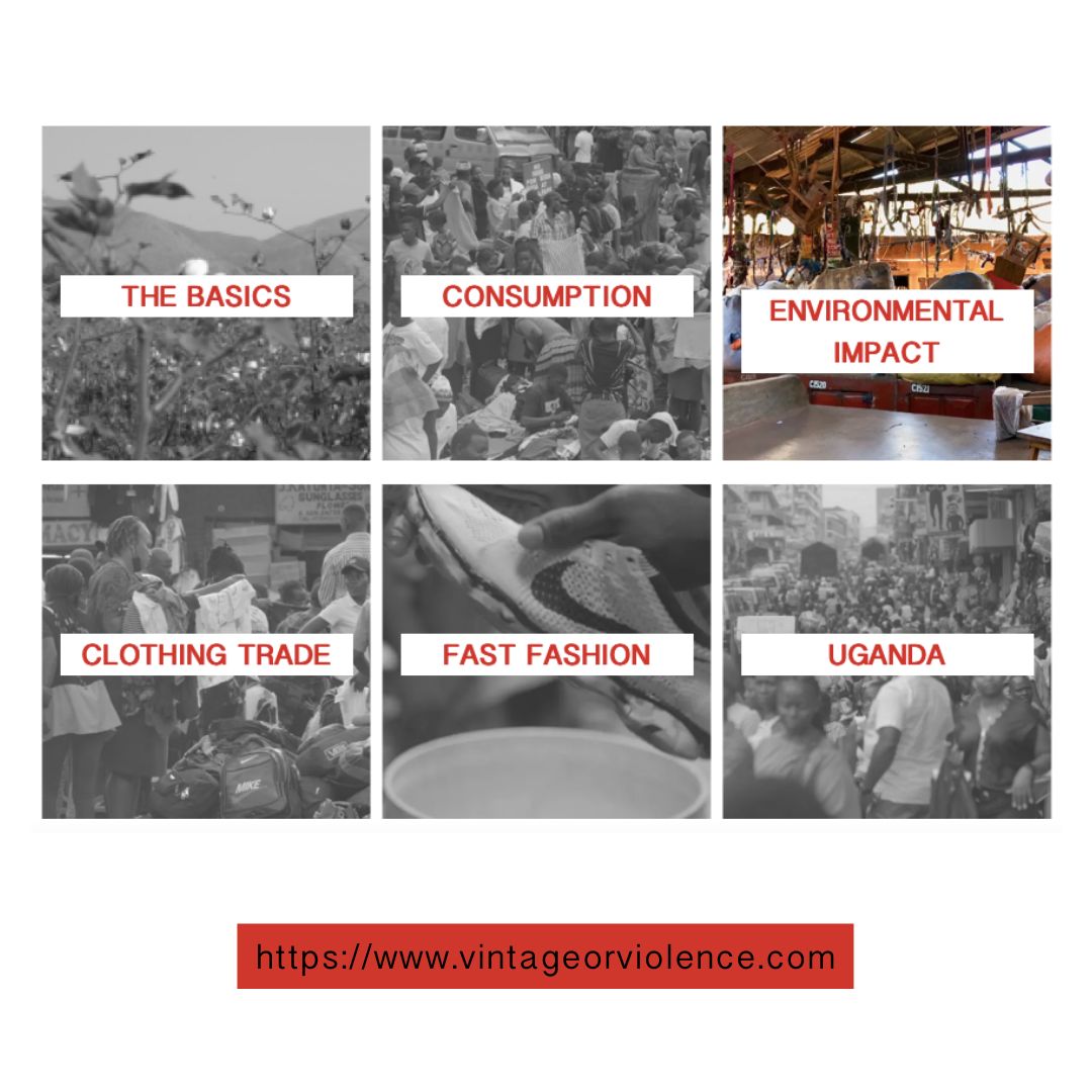 VINTAGE OR VIOLENCE tweet media
