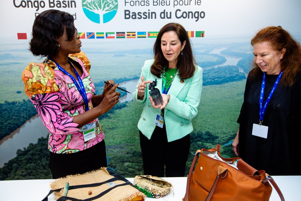 Fonds Bleu pour le Bassin du Congo tweet media