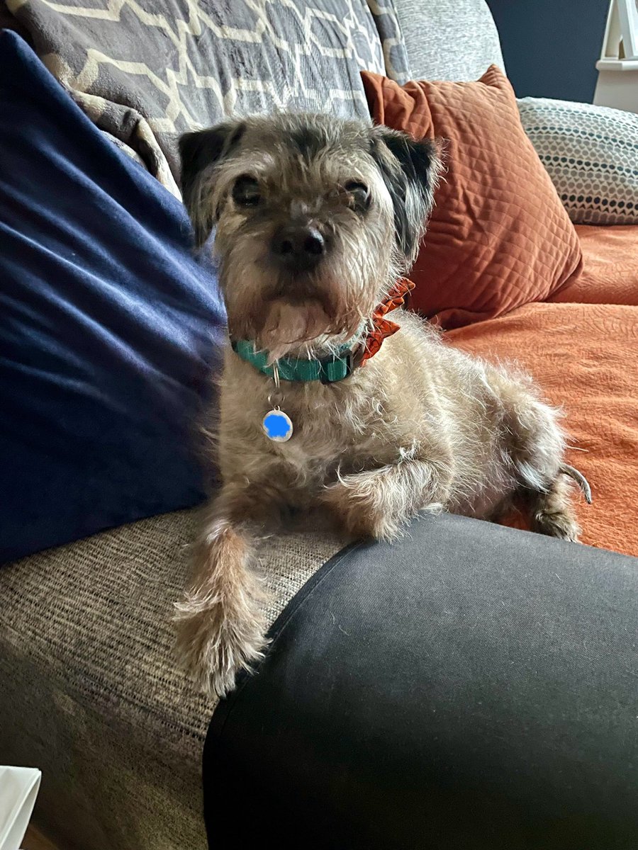 BoysPlus's tweet photo. Sunday. That is all. #BTPosse ⁦@Susiesu65⁩ https://t.co/iU6LGqcD6J