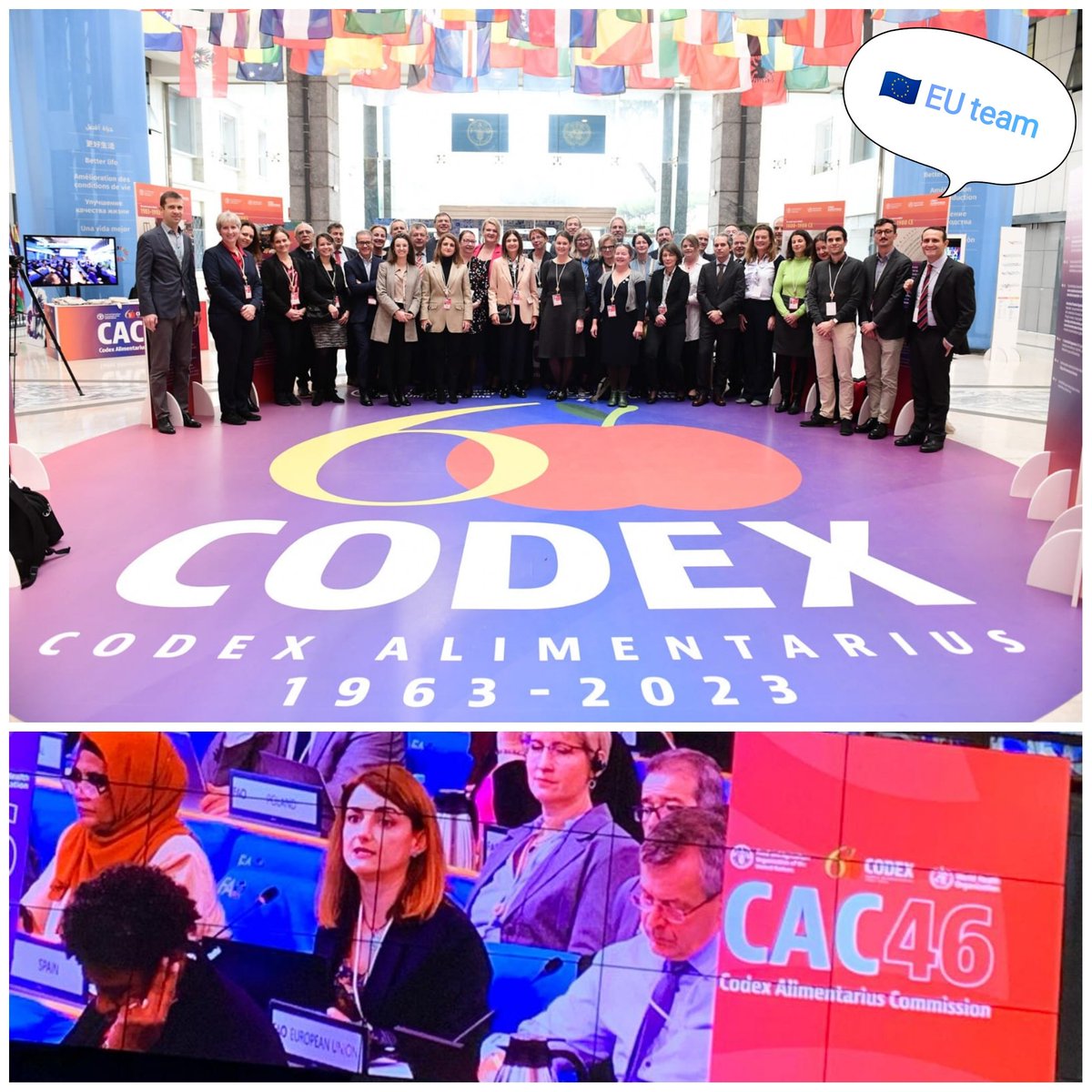 AnaLSS20's tweet photo. I am delighted to have been representing and chairing the 🇪🇺 EU voice at #CAC46 last week under the Spanish Presidency of the Council!
Easy task with such a wonderful team 💪

#FAOWHOCodex
#CodexCAC46
#eu23es https://t.co/swSrMJdb5V