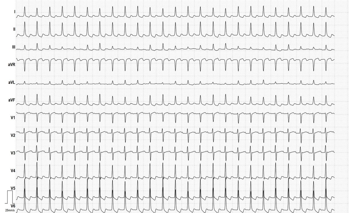 Dr. Andreas Roeschl tweet media