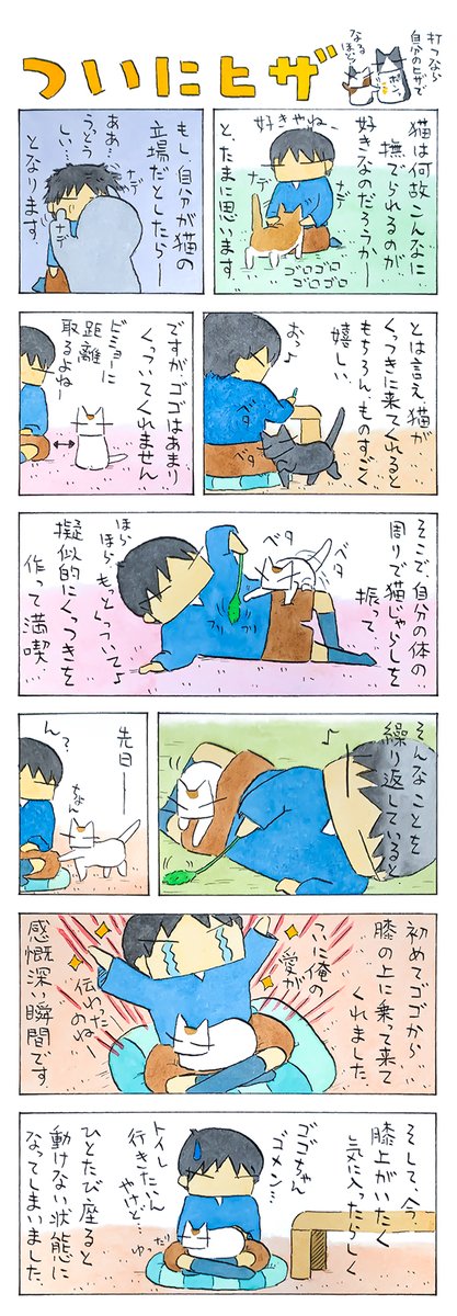 膝の話│フェリシモ猫部 https://t.co/o7hvvKqkxB 