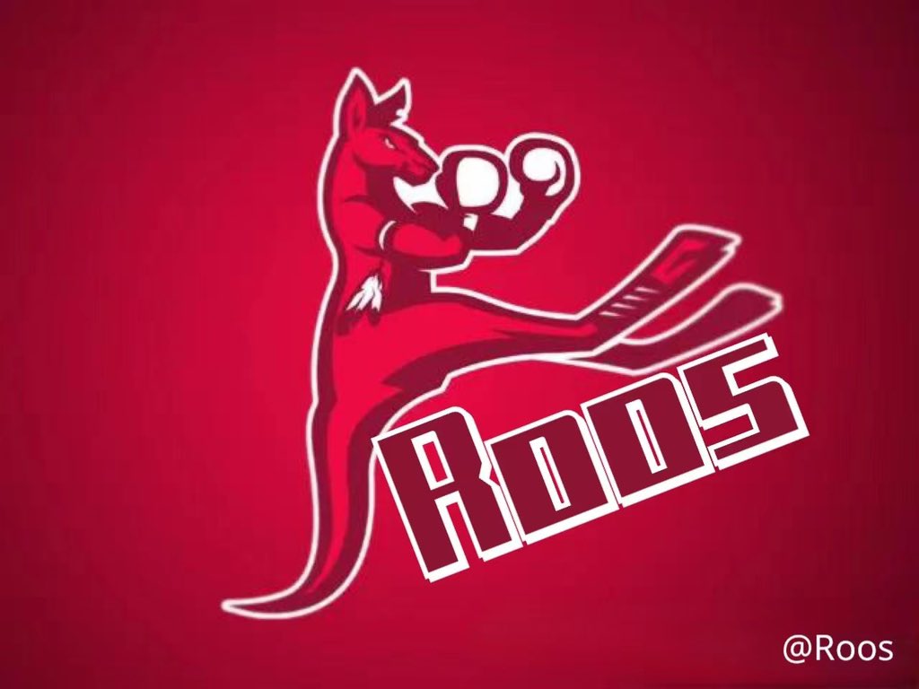 ROOS tweet media
