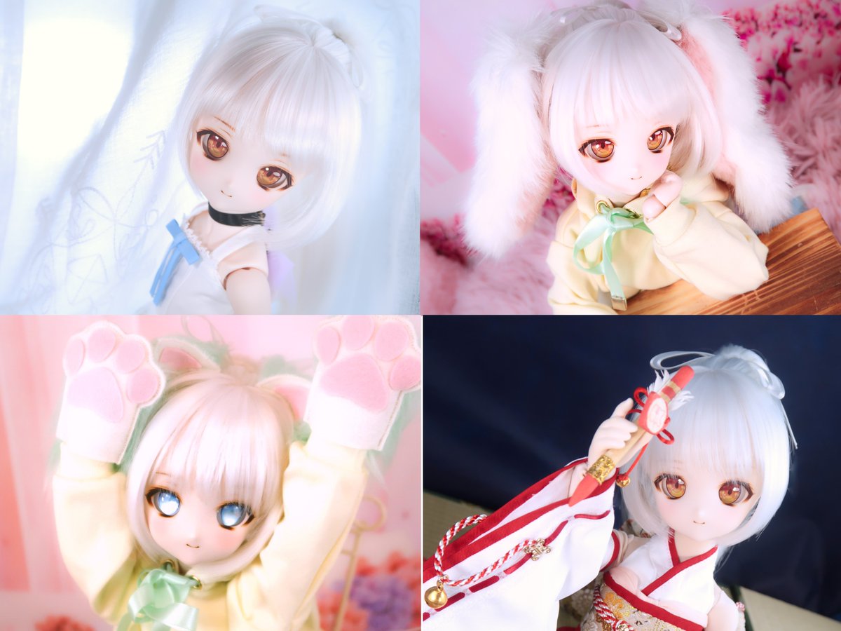 ふせねこ tweet media