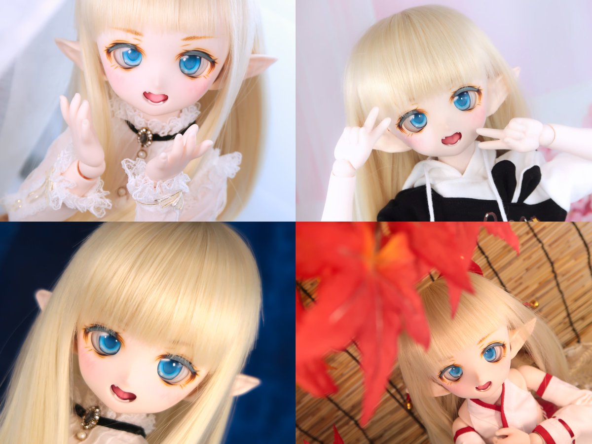 ふせねこ tweet media