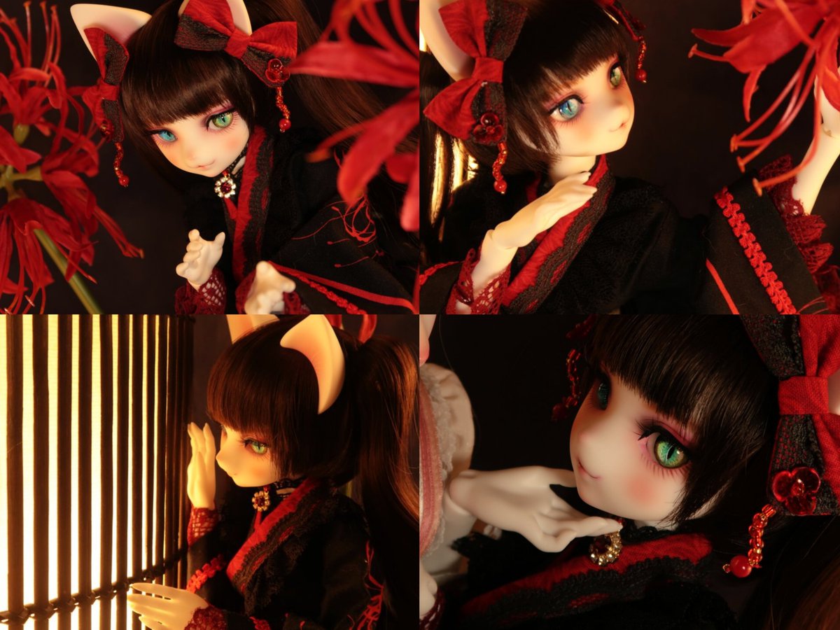 ふせねこ tweet media