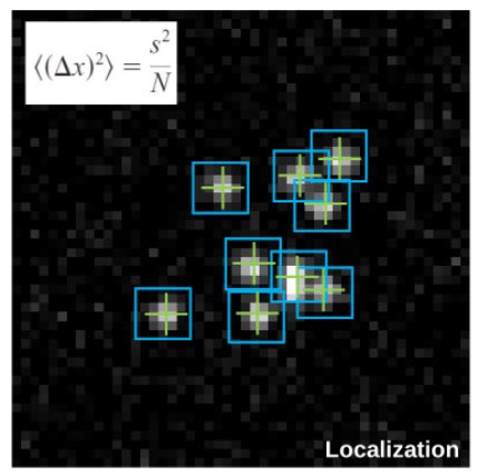 Ulrike Boehm 🔬👩🏻💻 tweet media