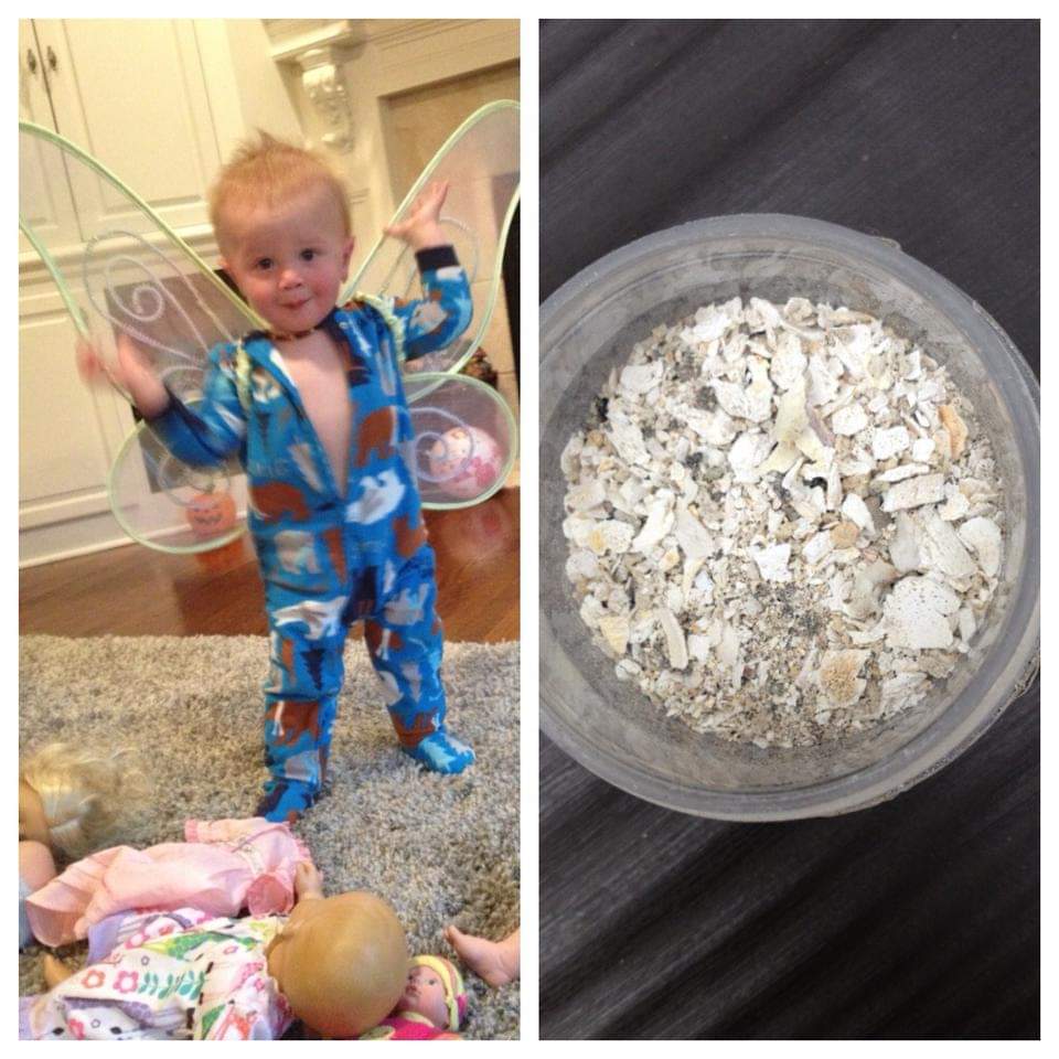 Shared by Mom-.Kari- never forget Mason. 

'My silly boy, Oliver, sick with Pertussis is pictured on the LEFT... He wasn't vaccinated. My vaccinated son, Mason, is pictured on the RIGHT-- this is how I took his remains home with me a few days after he received his dtap vaccine,