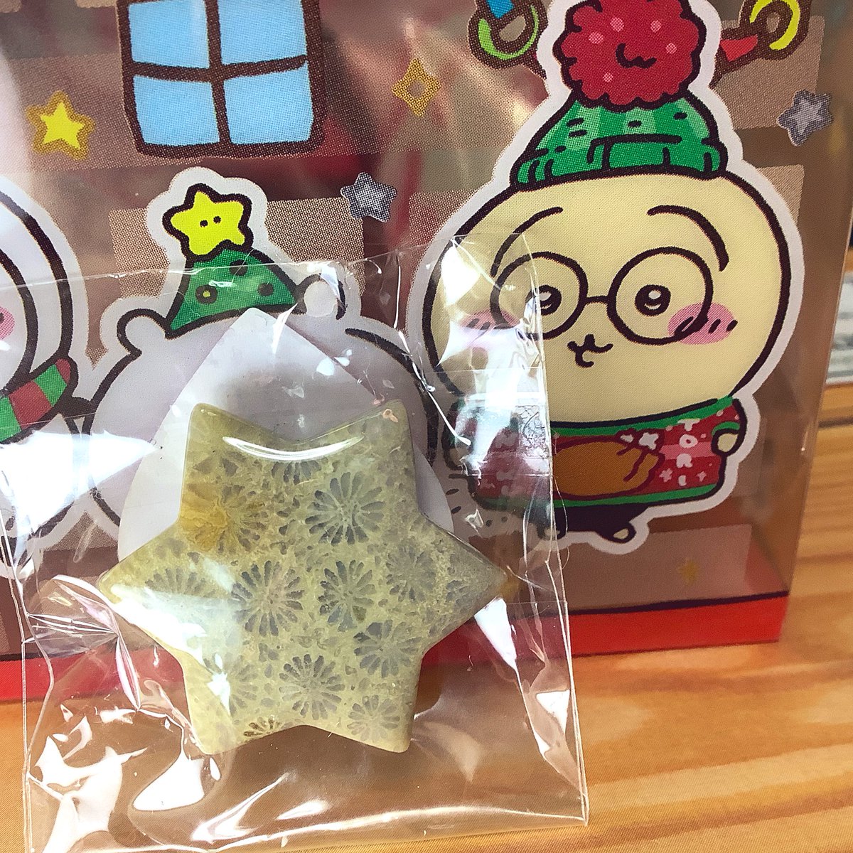 yamaaraishi1's tweet photo. クォーツリウム(@Quartzarium )さんから、
フォッシルコーラルの六芒星✨
理想バランスのフォッシルコーラルな上に形も可愛い！
最高です🙌🥳🙌✨

#東京ミネラルショー 
#ミネラルショー https://t.co/yf60ewG3ZX