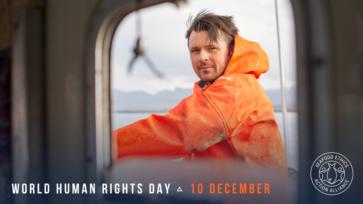 SEA_Alliance's tweet photo. On #WorldHumanRightsDay, SEA Alliance &amp; its members reaffirm their commitment to driving positive change in the global seafood supply chain. 

Our focus is on enhancing respect for worker rights &amp; labor standards through human rights due diligence, advocacy, &amp; proactive projects. https://t.co/4EILoNt8aQ