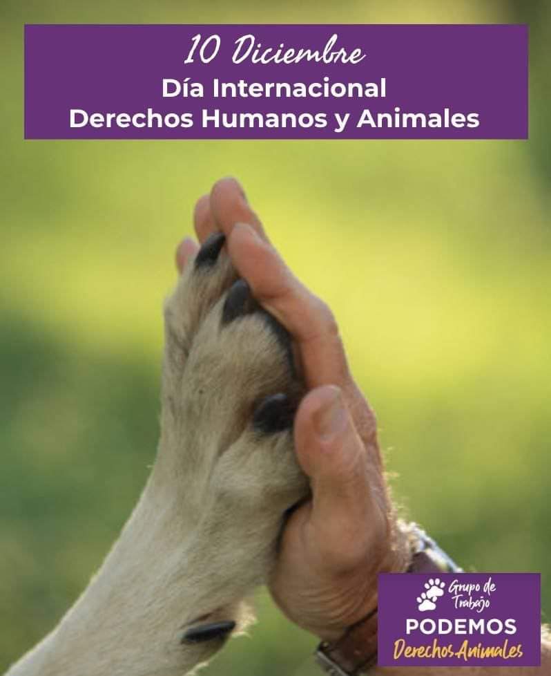 #DiaInternacionalDeLosDerechosAnimales
#DiaInternacionalDeLosDerechosHumanos