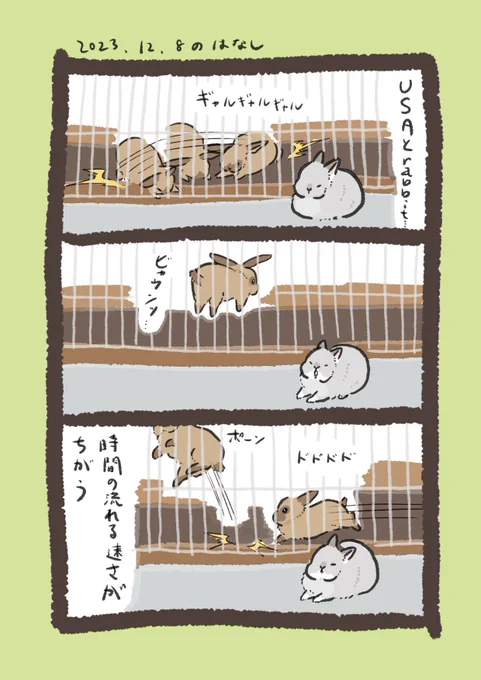 象とリスくらいちがう

#うさぎのいる生活 