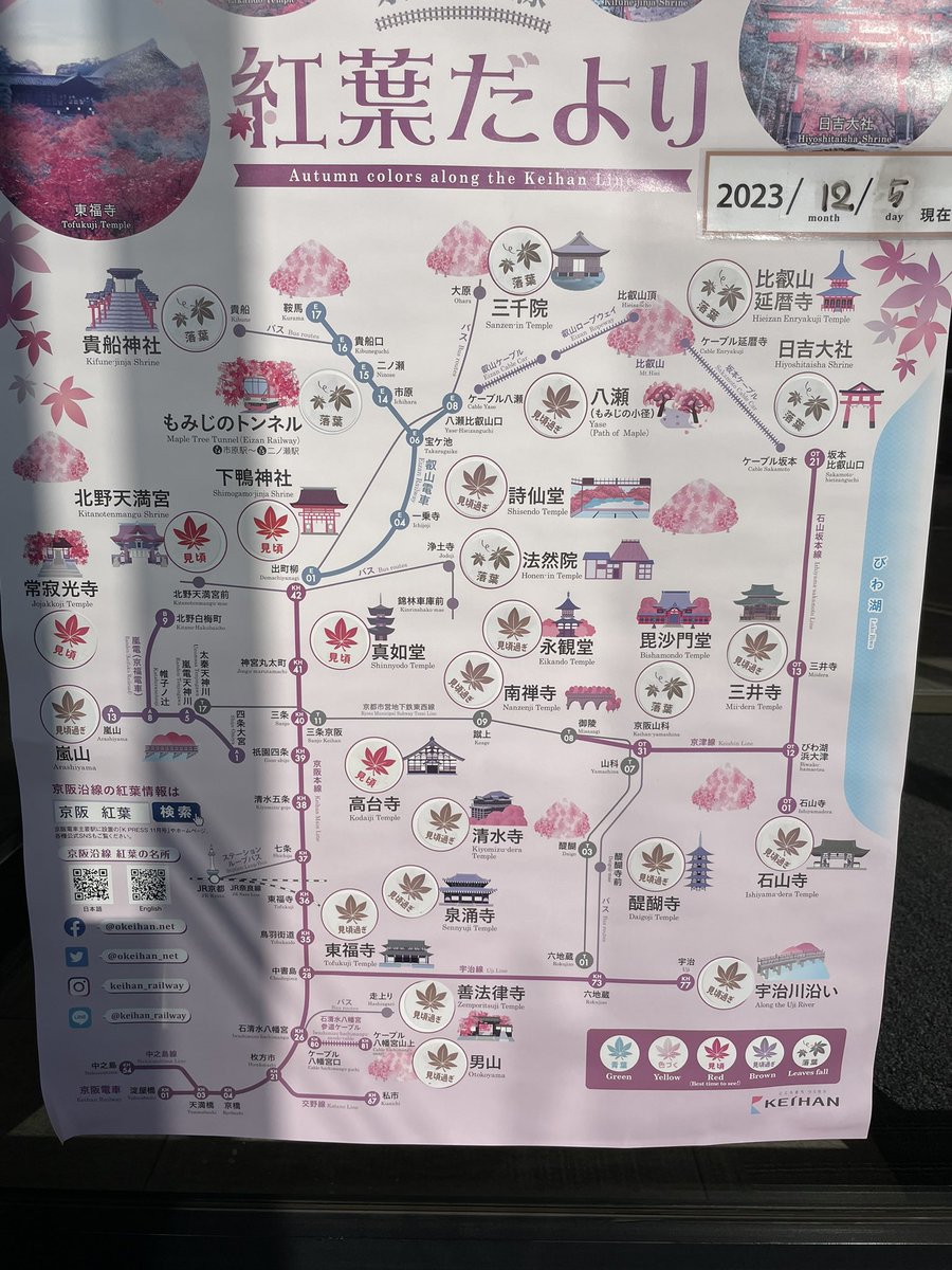 もう終わりですね😣