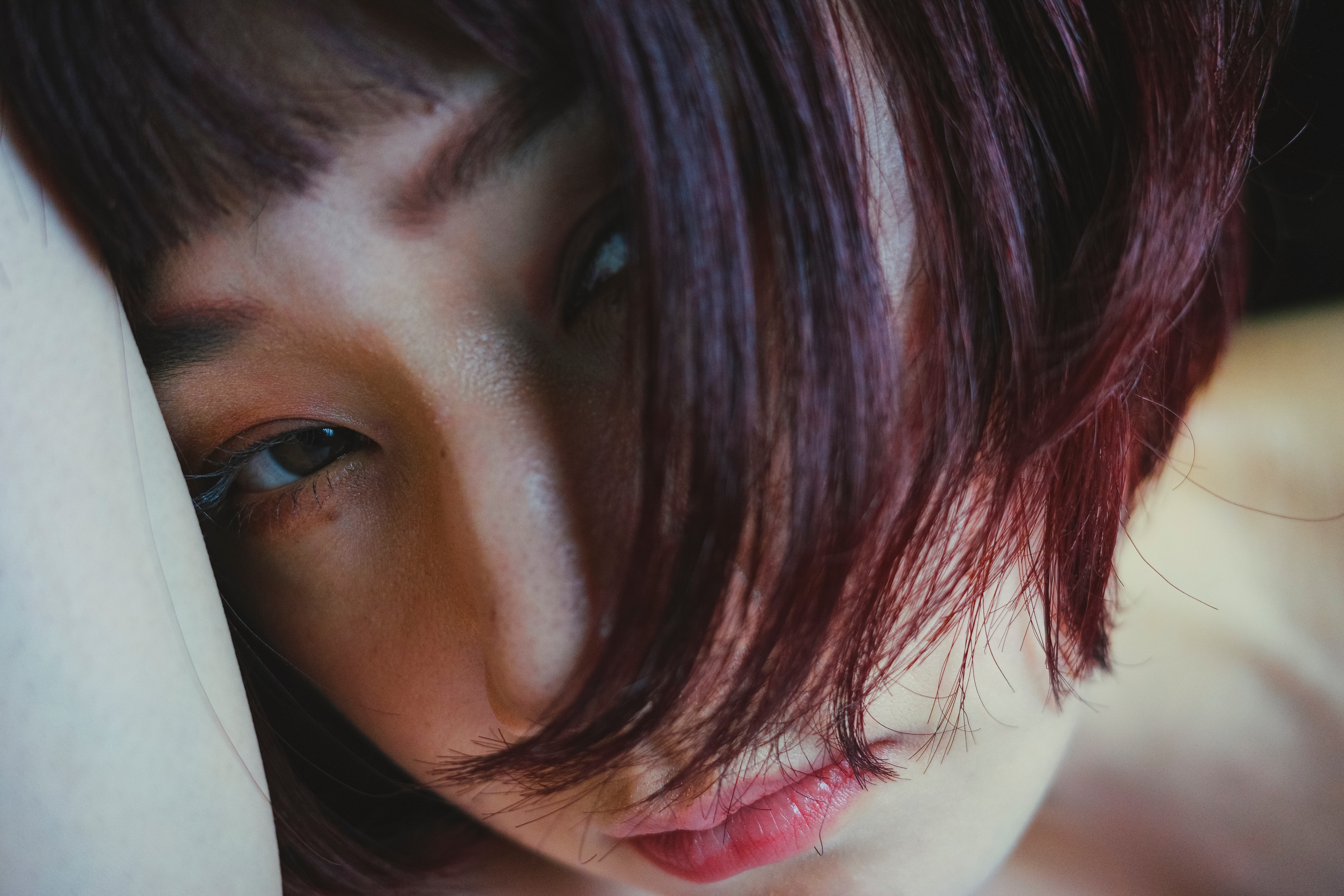 高橋 伸哉/写真作家/写真集「堕花」「impermanence」「IN THE