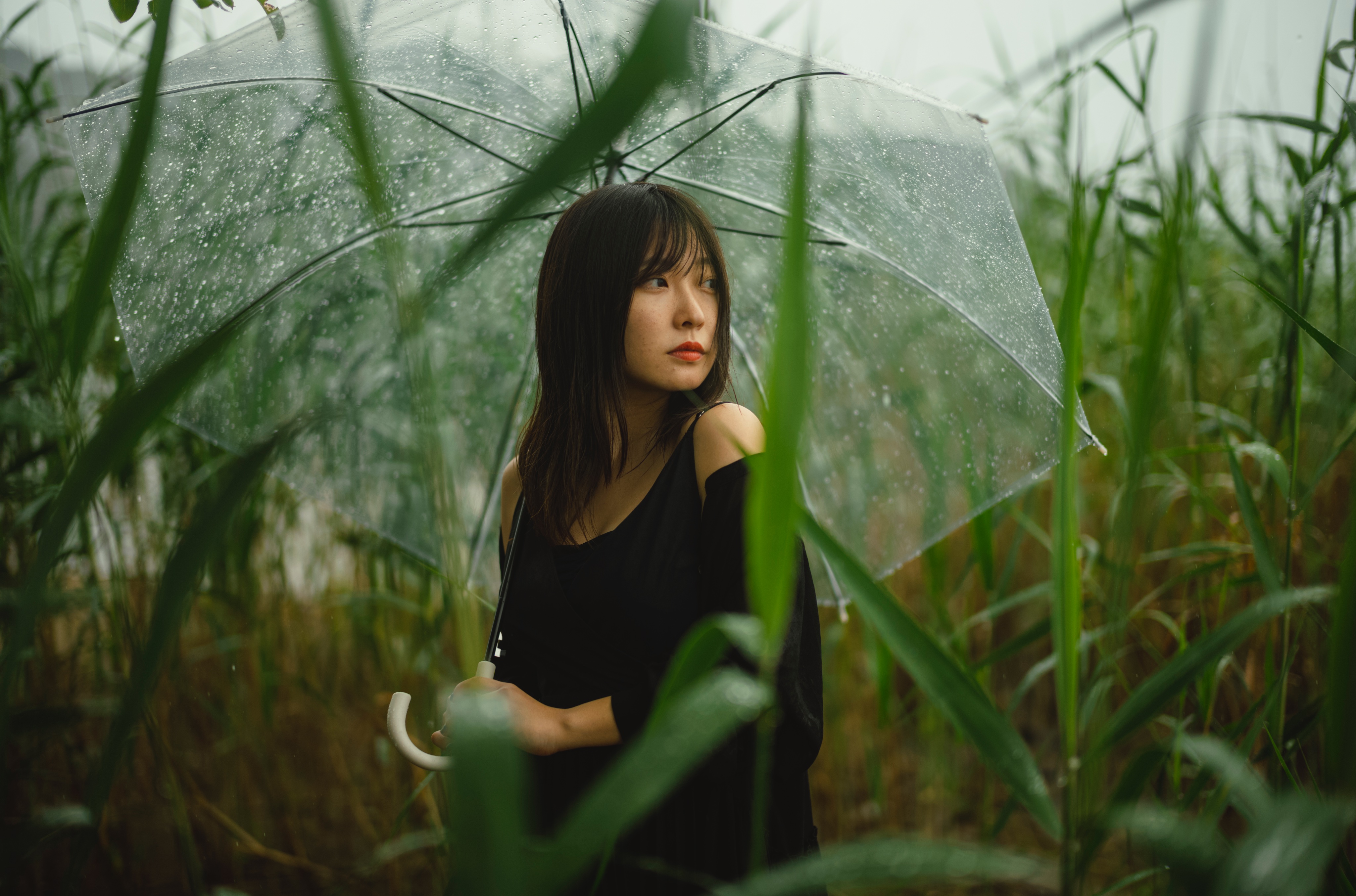 高橋 伸哉/写真作家/写真集「堕花」「impermanence」「IN THE