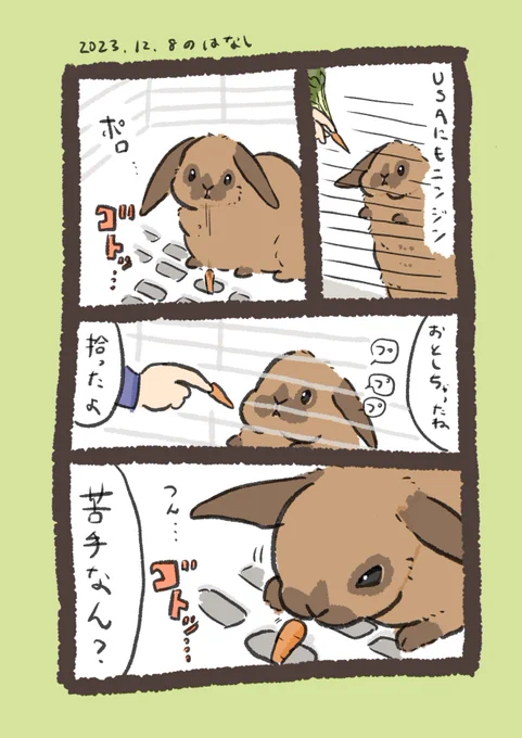 USAもにんじんチャレンジ🥕

#うさぎのいる生活 