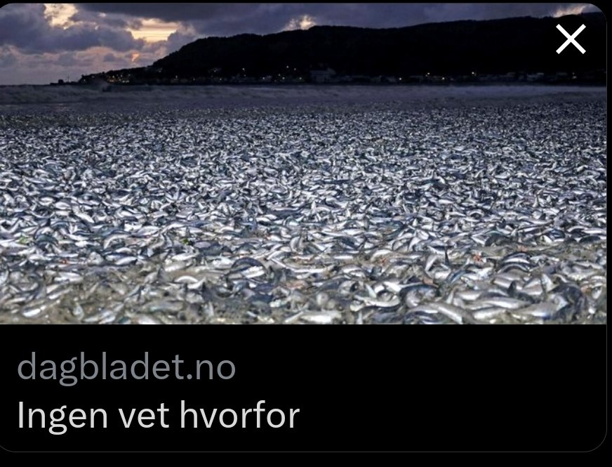 Lise_roenning's tweet photo. https://t.co/U9FcFSYAZM
Muligens en naturlig forklaring @dagbladet , med jordskjelv, solstorm, polskifte, havstrømmer. Men trist er det jo! #earthquakemap https://t.co/0NafusLIre