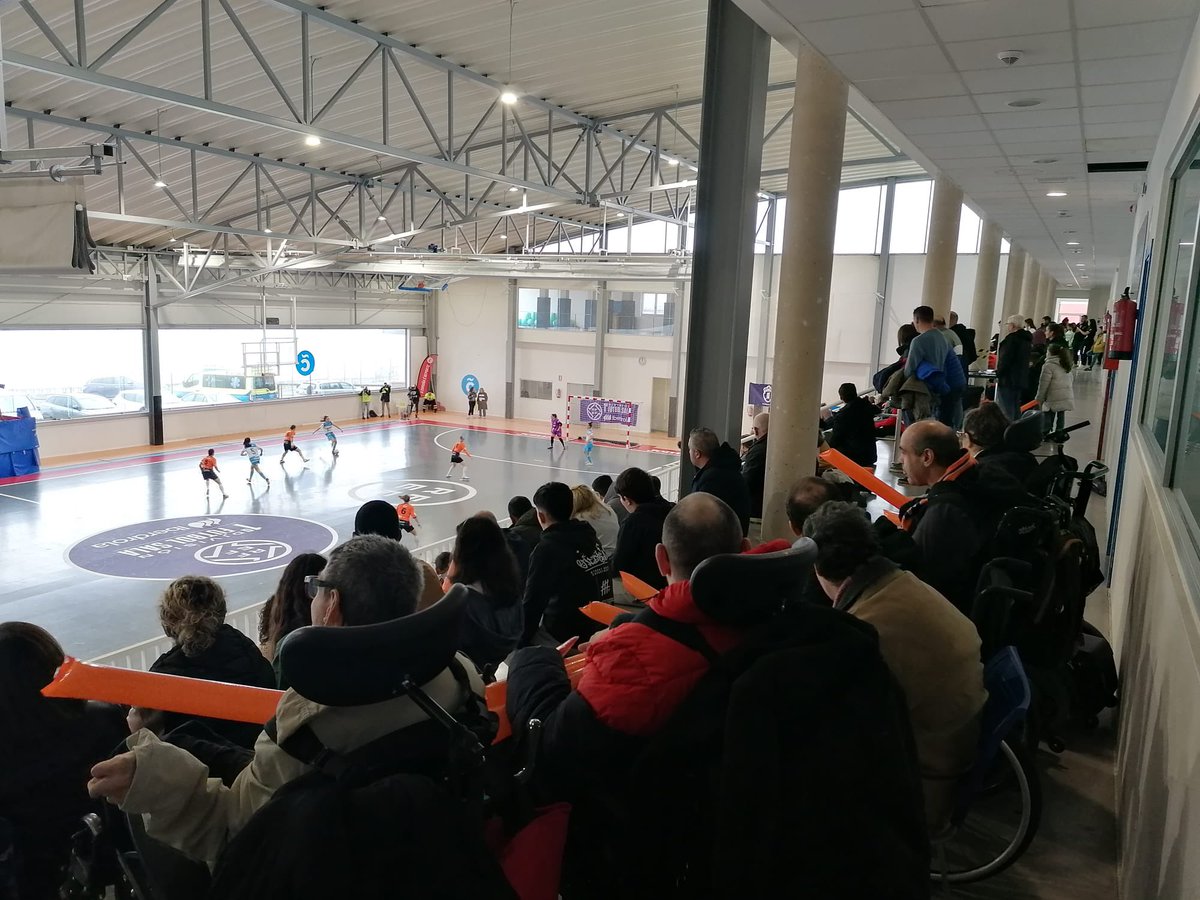 Viaxes Amarelle FSF tweet media