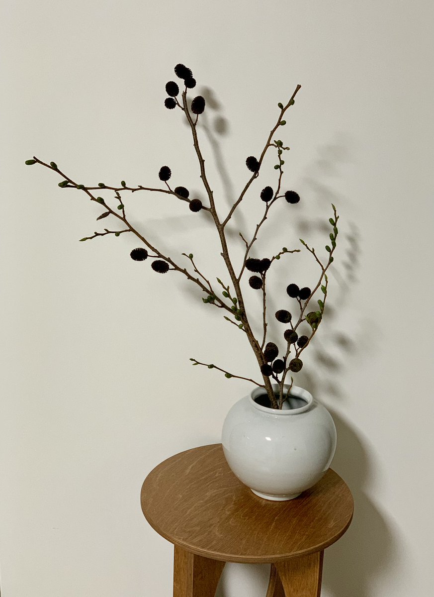 리스 소재로 구매한 오리목 
예뻐서 달항아리에 두고싶어서
따로 빼놓고 남은걸로 리스만들었어요 🤭