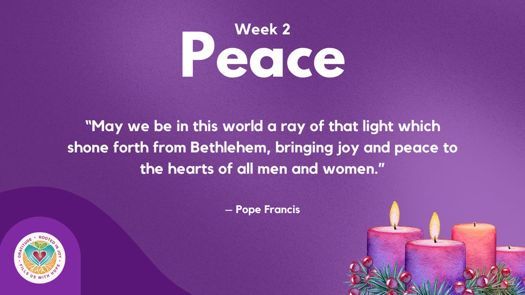 Ottawa Catholic School Board tweet media