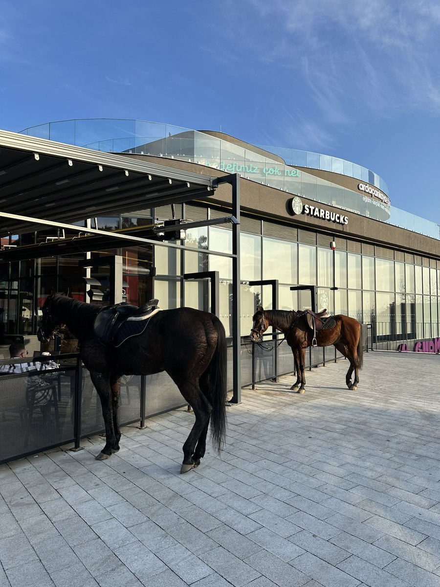 Karındeşen Jack’e bir latte, Django’ya da caramel macchiato. #Starbucks