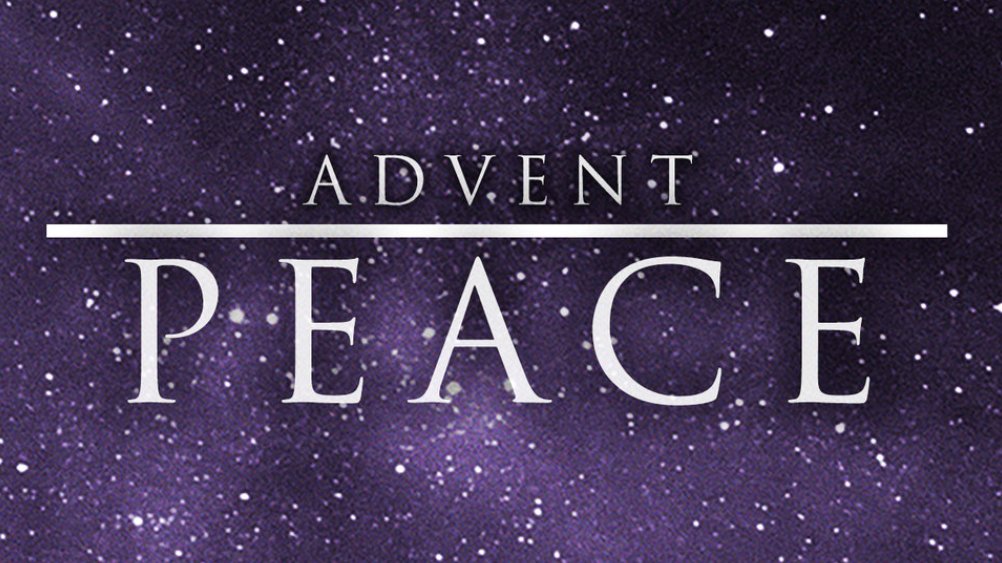 Julia Riverso-Correia (she/her) tweet media