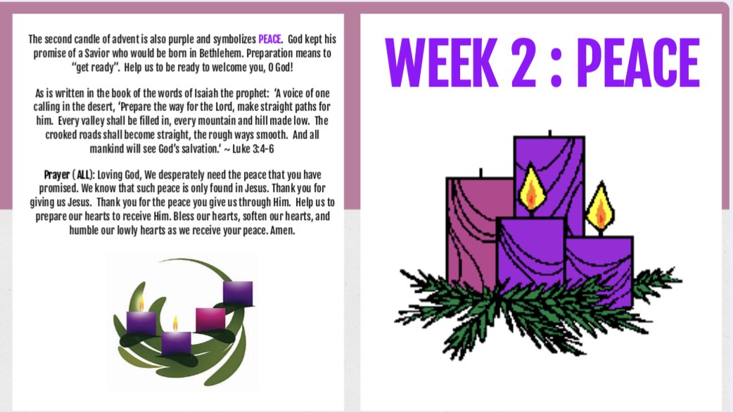 Julia Riverso-Correia (she/her) tweet media