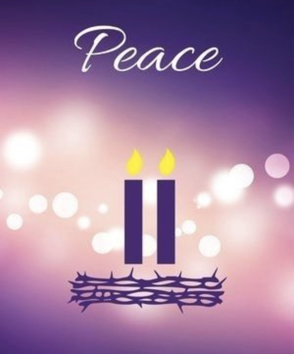 Julia Riverso-Correia (she/her) tweet media