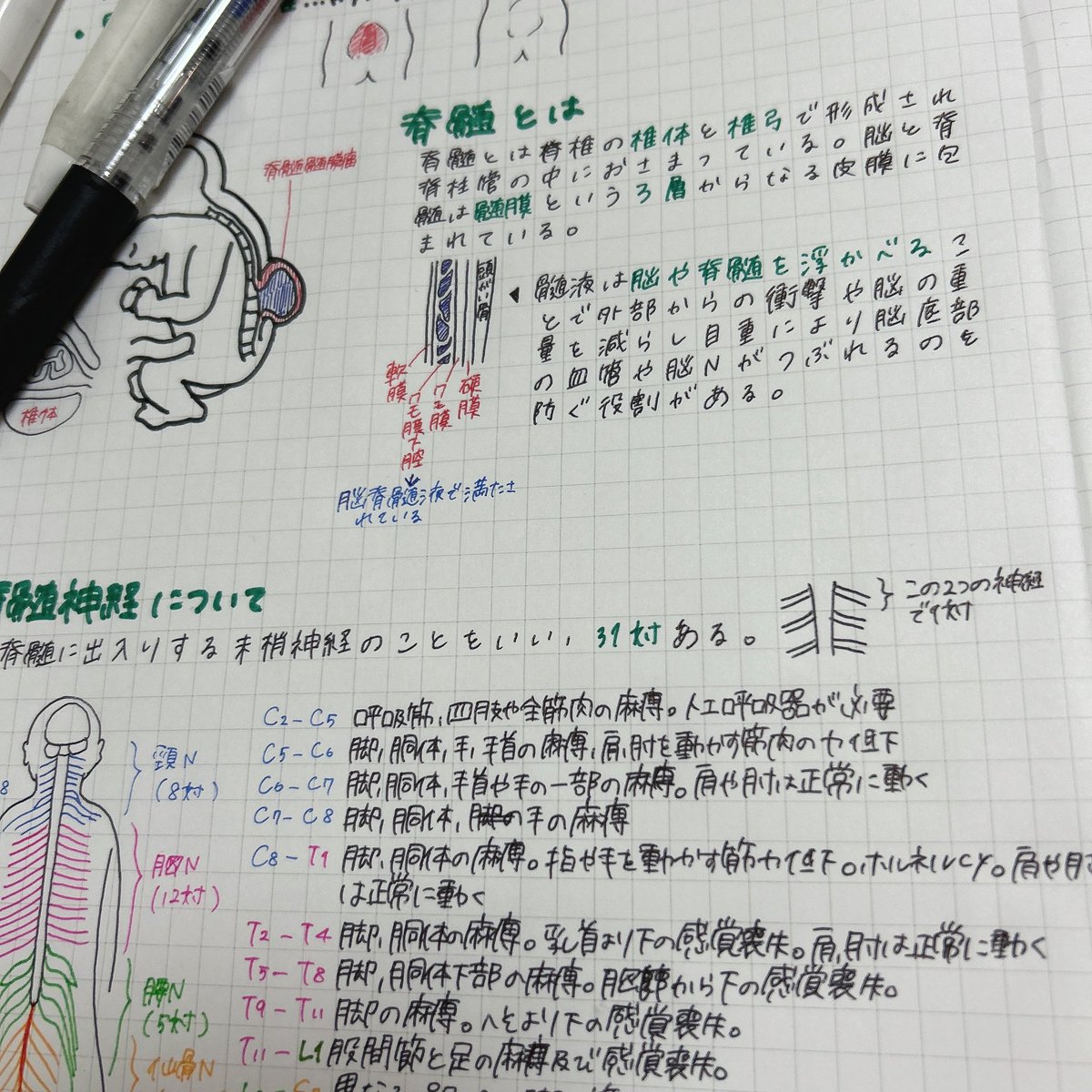 SGh5d's tweet photo. 今の仕事が楽しいから、利用者さんの病気のこともっと理解したいから、自発的に勉強したいと思えるし勉強が苦じゃない👐
施設で看護師として働く以上、「施設に通ってるから病態は安定してるし勉強しなくていいよね」じゃなくて何聞かれても自信もって答えられる位理解したい https://t.co/QD7ldpMt9c
