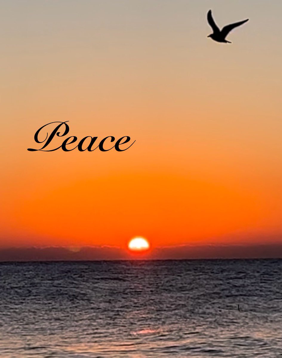 CristinaBerry10's tweet photo. #peaceonearth
#BHAdvent23 #instaadvent #photochallenge @BustedHalo
"The Lord lift up his face to you and grant you peace." Numbers 6:26 https://t.co/MXZBPHd1d0